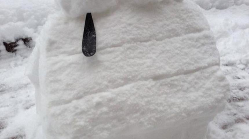 Kardan Yapılmış Ama Kardanadam Olmayan 27 Şey