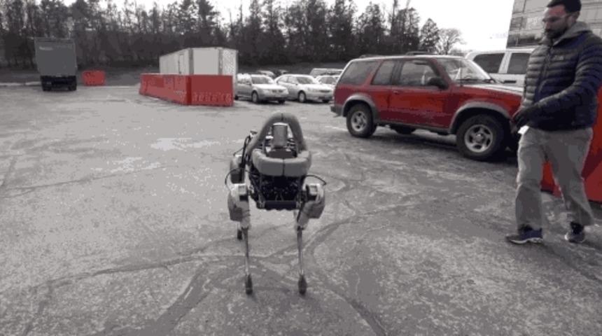 Şaşırtan Ve Ürperten Yeni Robotlar