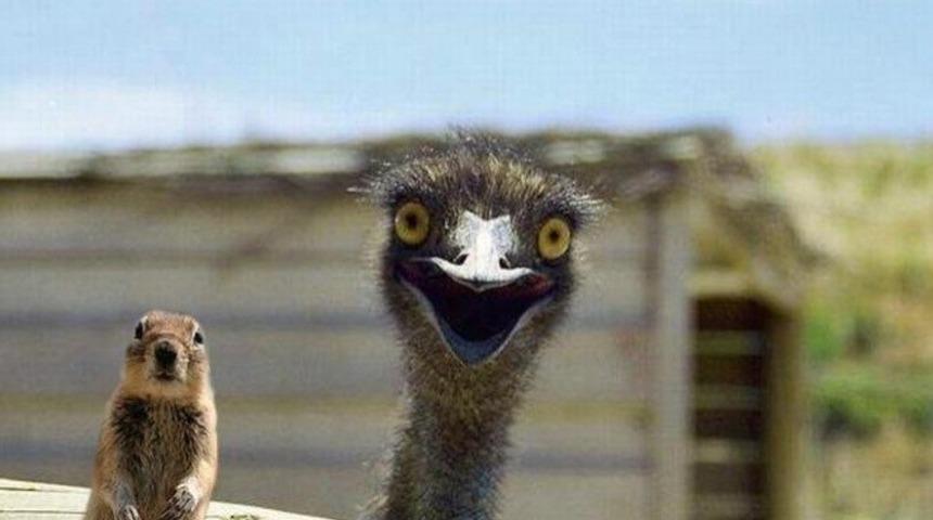 İşte İnsanların İnatla Doğru Kabul Ettiği Yanlış Bilgiler!