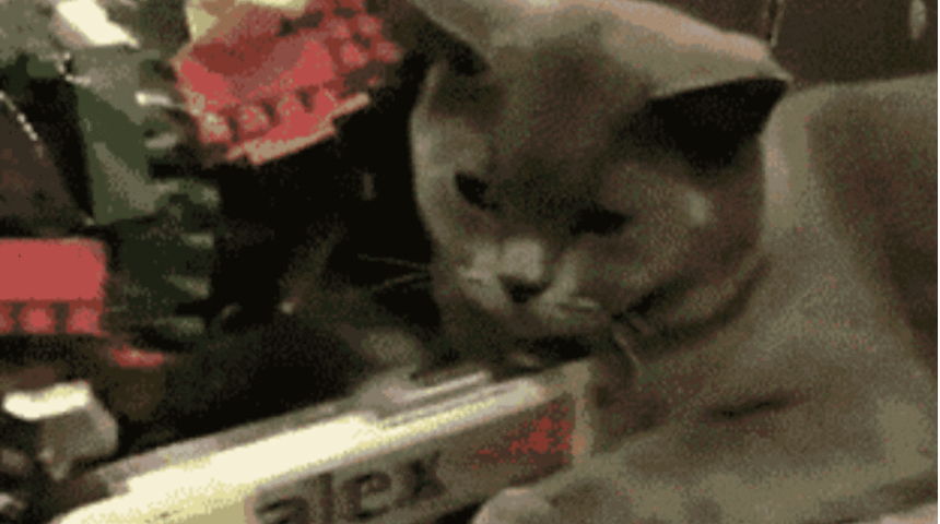 İlk Cinsel Deneyimleri En İyi A&ccedil;ıklayan 10 GIF