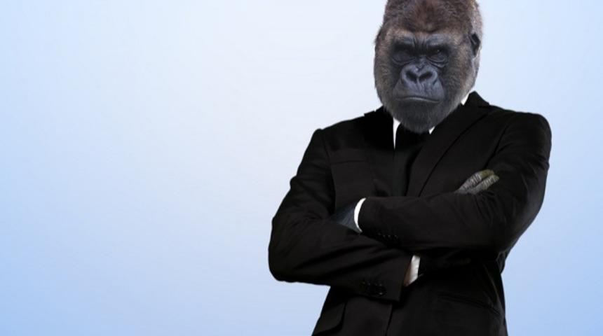 Milletvekili Olabilmek İ&ccedil;in İşlemeniz Gereken 9 Su&ccedil;