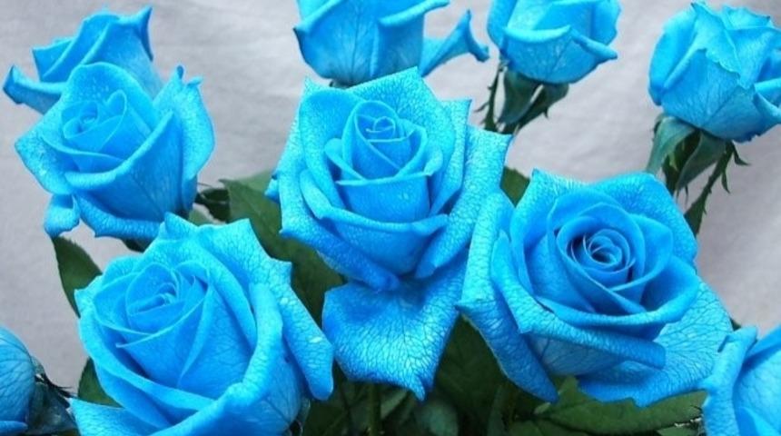 Sevgililer G&uuml;n&uuml; İ&ccedil;in &Ccedil;i&ccedil;eklerin Anlamı