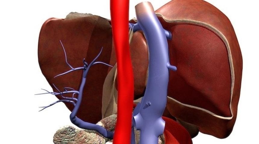 Daha &Ccedil;ok Kahkaha Atmamız Gerektiğini G&ouml;steren 7 Bilimsel Sebep