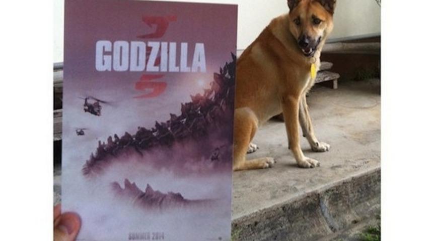 Film Posterlerinin Arkasındaki Sırrı Açıklıyoruz!