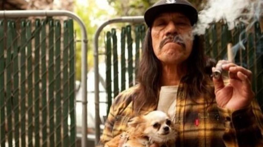 Yumuşak Hayvanları Olan 23 Sert Adam