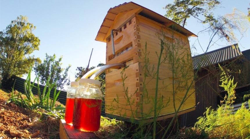 Arıların Kovanlarını Rahatsız Etmeden Bal &Ccedil;ekmenin Y&ouml;ntemi