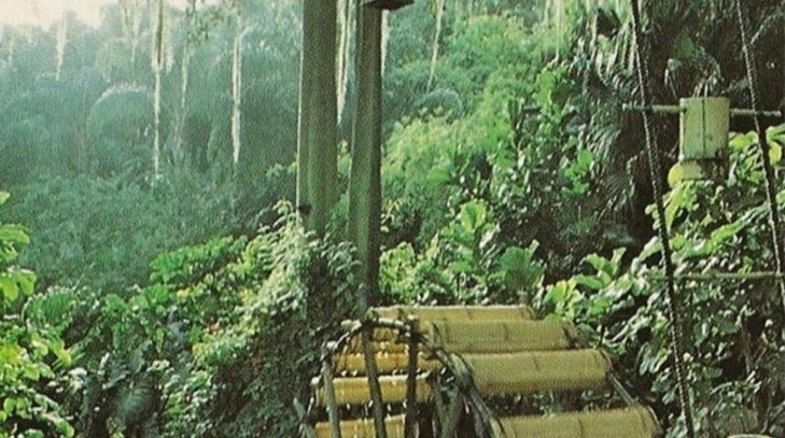 Disney World'den 25 Nostaljik Fotoğraf