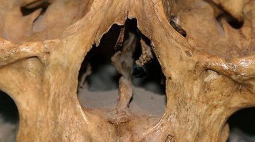 Maya Uygarlığında Diş&ccedil;ilerin Uğraştığı Şeyler Sizi &Ccedil;ok Şaşırtacak