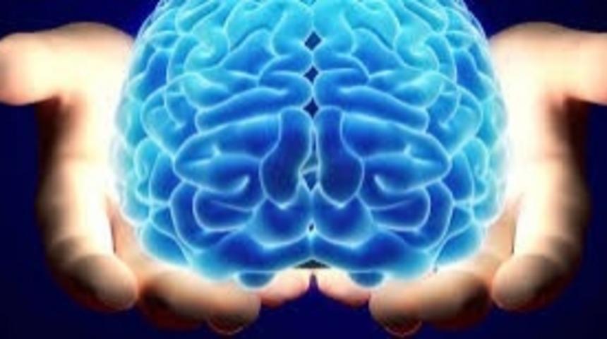 V&uuml;cudunuzda Neler Oluyor Biliyor Musunuz? 