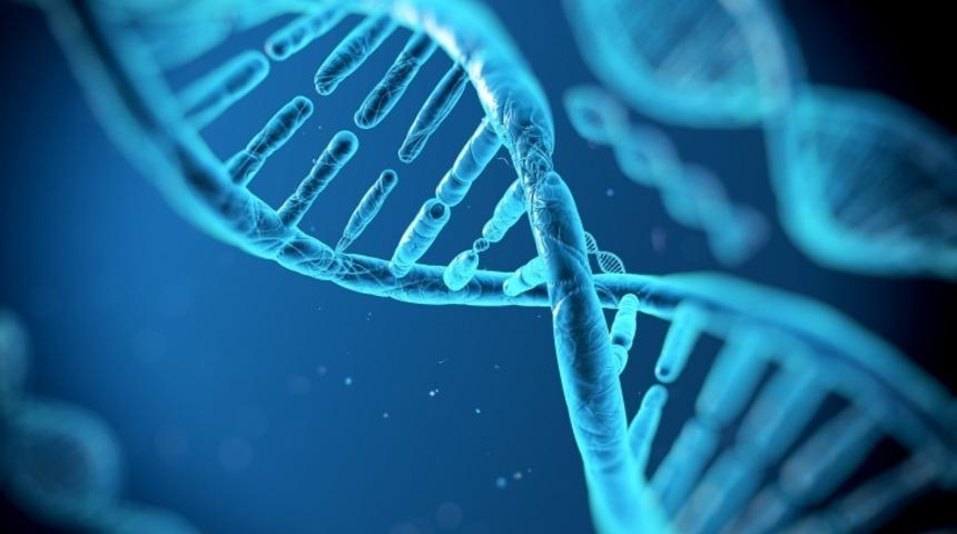 Zaman Kapsülü Yapmak İstiyorsanız Çözüm DNA'da