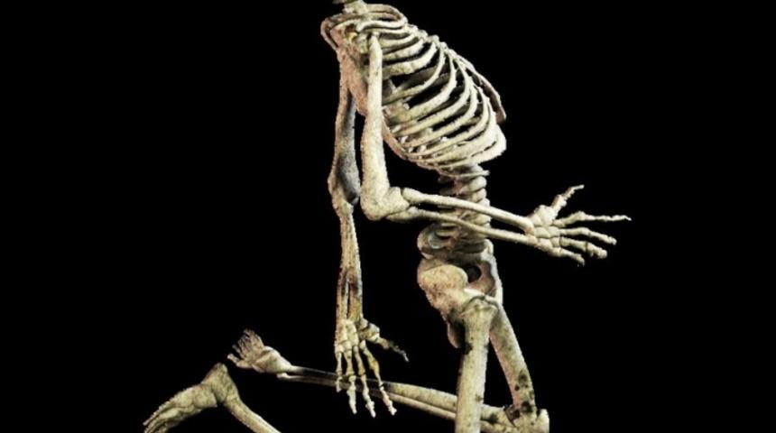 &Ouml;ld&uuml;kten Sonra Başınıza Neler Gelecek Biliyor Musunuz?