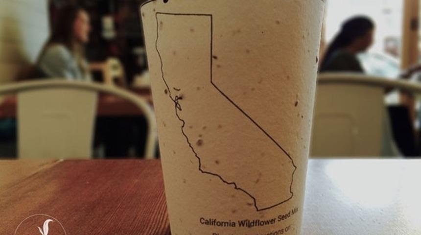 Bu Kahve Kupaları Geri Dönüşüm İçin Birebir!