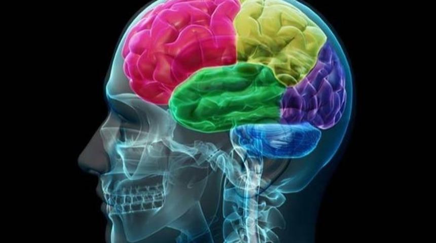 Olası Bir Zombi İstilasından Korkmaya Başlamanız İ&ccedil;in 9 Sebep