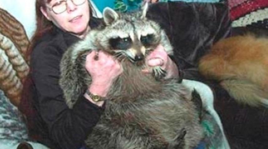 Guinness D&uuml;nya Rekorlar Kitabına Giren Ev Hayvanları