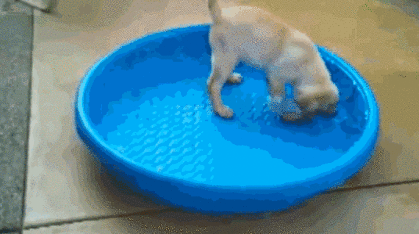 Sadece &Ccedil;ok Sakar İnsanların Anlayabileceği 25 GIF