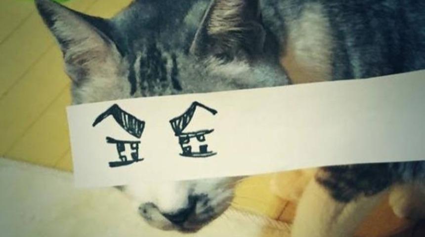 Yeni Japon İşi "Kediler"