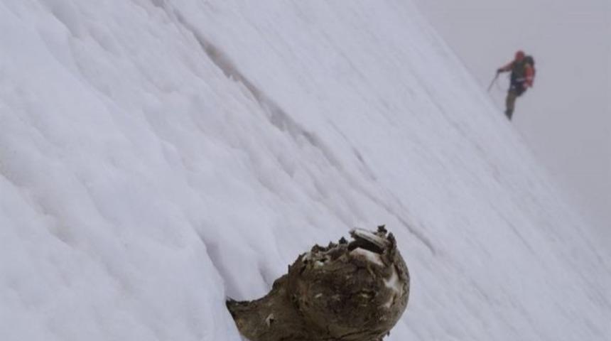 Meksika'da Dağlarda Bulunan Şey T&uuml;yler &Uuml;rpertiyor