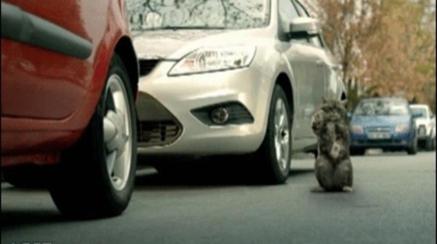 Kadınların Neden Arabayı Park Edemediğini 11 Maddeyle A&ccedil;ıklıyoruz!