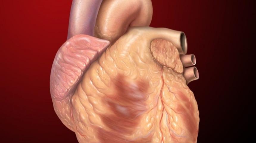 Okuduktan Sonra Uyuyamayacağınız 6 Doğa&uuml;st&uuml; Hikaye