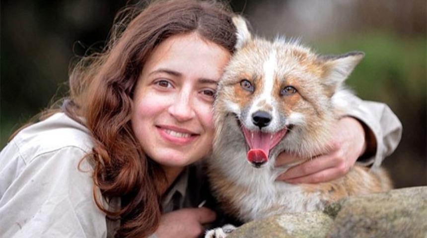 Bu Tilki Kendisini K&ouml;pek Zannediyor