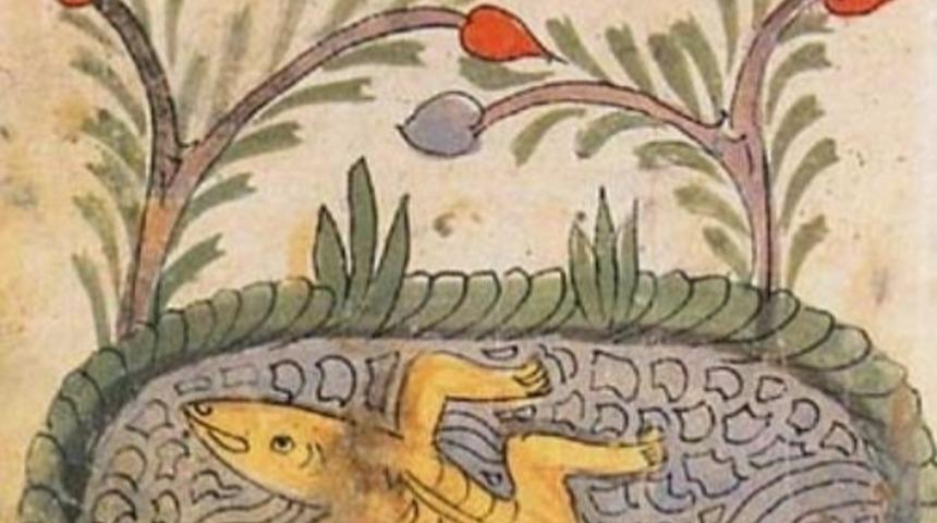 Kur'an'daki Ayetlerde Evrimin İzlerine Rastlamak M&uuml;mk&uuml;n M&uuml;?