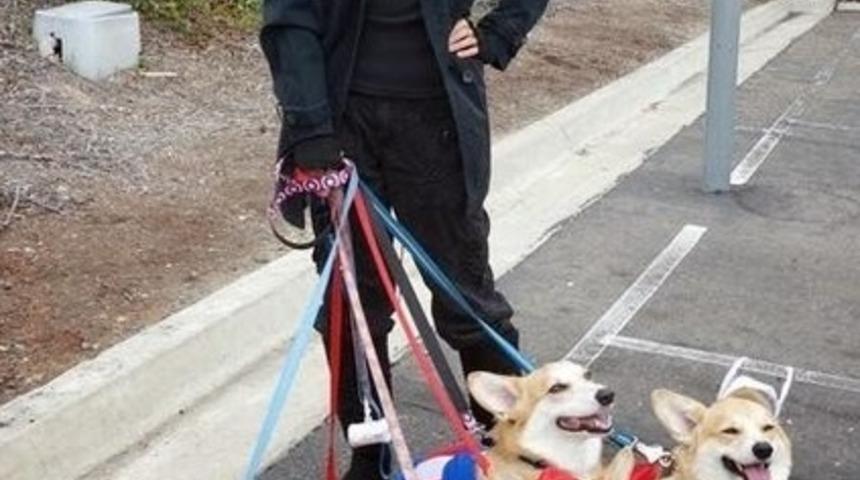 G&uuml;n&uuml;n&uuml;z&uuml; G&uuml;n Edecek 20 Sevimli Corgi Fotoğrafı