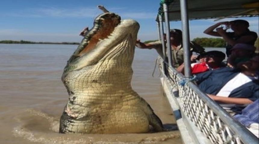 Avustralya&rsquo;da Yaşamanın &Ccedil;ılgın Olduğunu Kanıtlayan Kareler