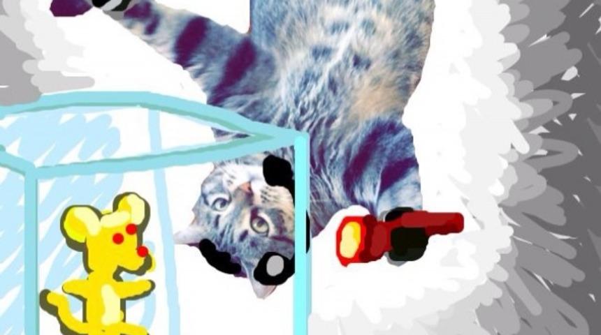 Snapchat'te Kedi Maceraları!