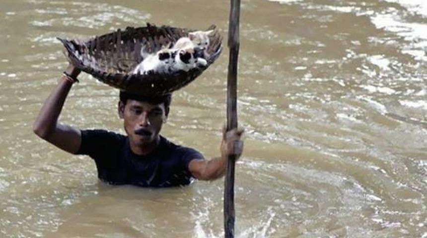 İnsanı Ağlatan 9 Fotoğraf