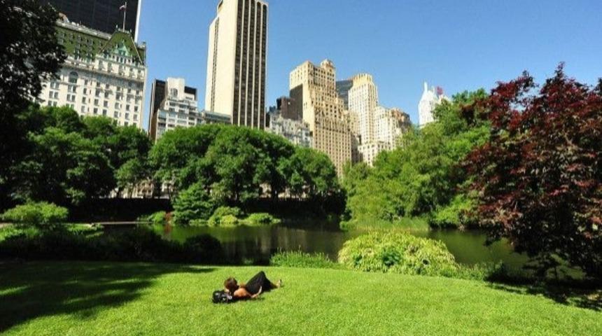 Baharın Gelişini Kutlayalım! Dünyada Halka Açık Parklardan Enfes Bahar Manzaraları! 