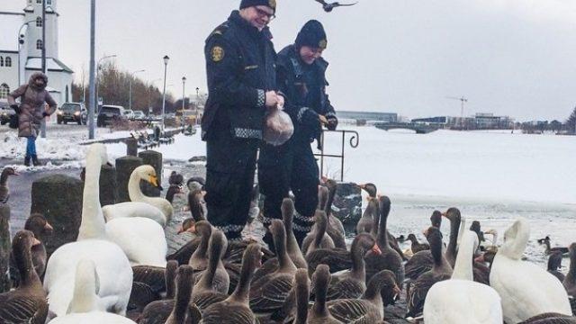 Reykjavik Polisi Instagram'da Destan Yazıyor