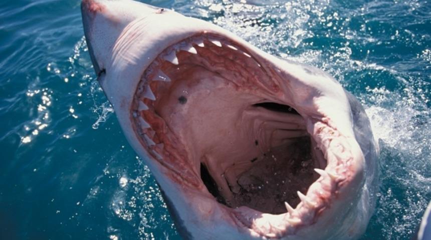 İnanılmaz Mantık Hataları ( Varlığınızı Sorgulayacaksınız)