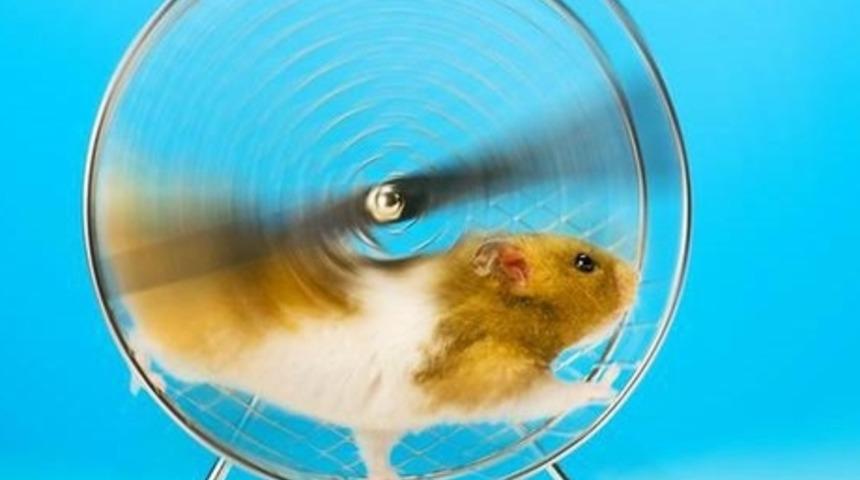 Çok Çalışmaktan Yorulanlara Tavsiyeler