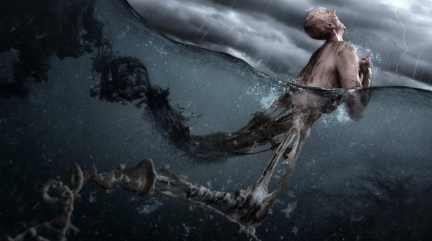 Evrim Teorisiyle İlgili Efsaneler, Yanlış Anlaşılmalar ve Anlatımlar