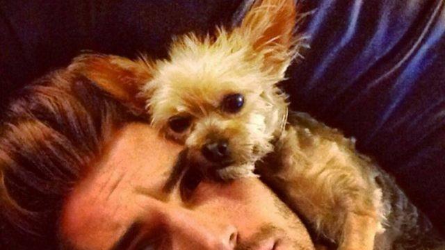 Kızlar Köpeğin Tatlılığına Bakar Mısınız?