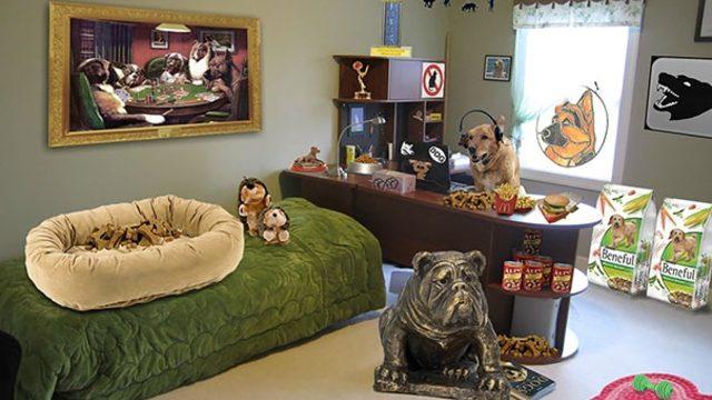 Anne Ve Babalardan Çocuklarına Muhteşem Ayarlar! 