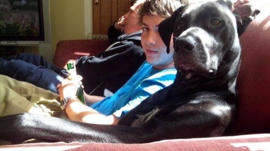 Hayvanlarıyla İkiz Olan 20 İnsan