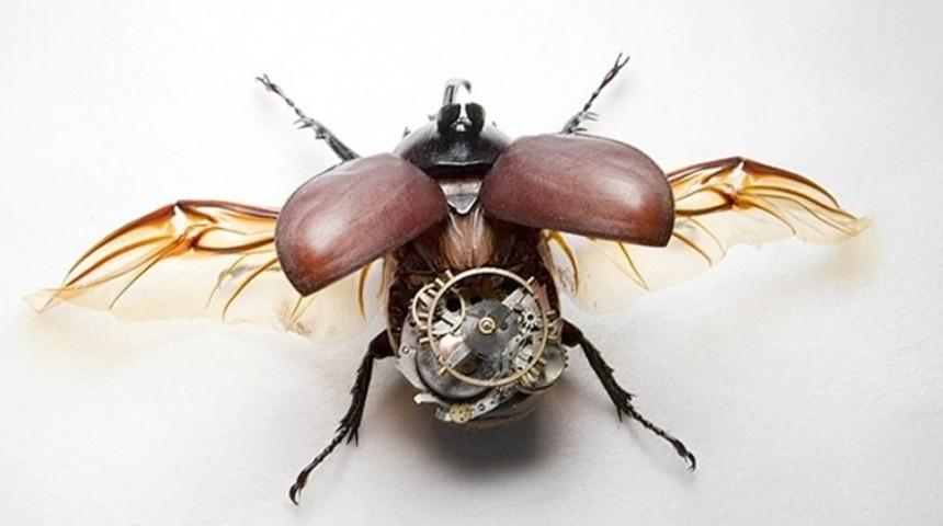 Tam Bir Kabus, Yarı B&ouml;cek Yarı Robot Askerler Artık Kullanılabilir Durumda