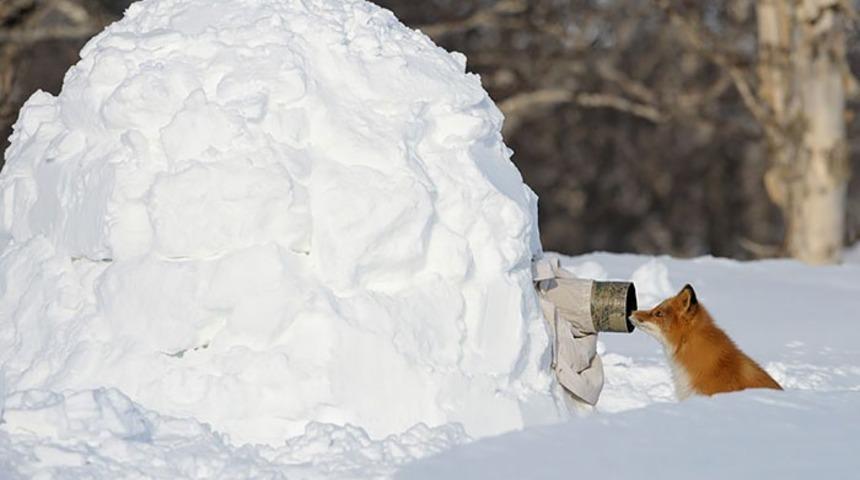 M&uuml;kemmel Kareyi Yakalamak Uğruna Şekilden Şekile Giren 28 Fotoğraf&ccedil;ı