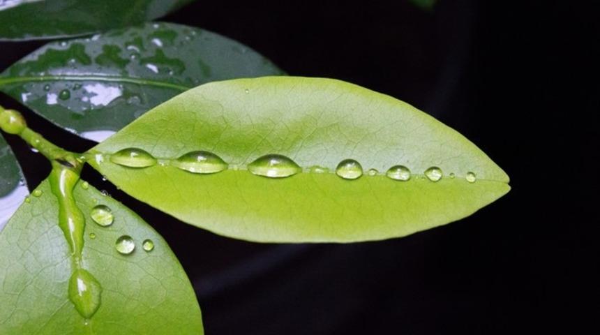 Aşırı Tehlikeli Olan ve Kullanıldığında Bağımlılık Yapan 9 Madde