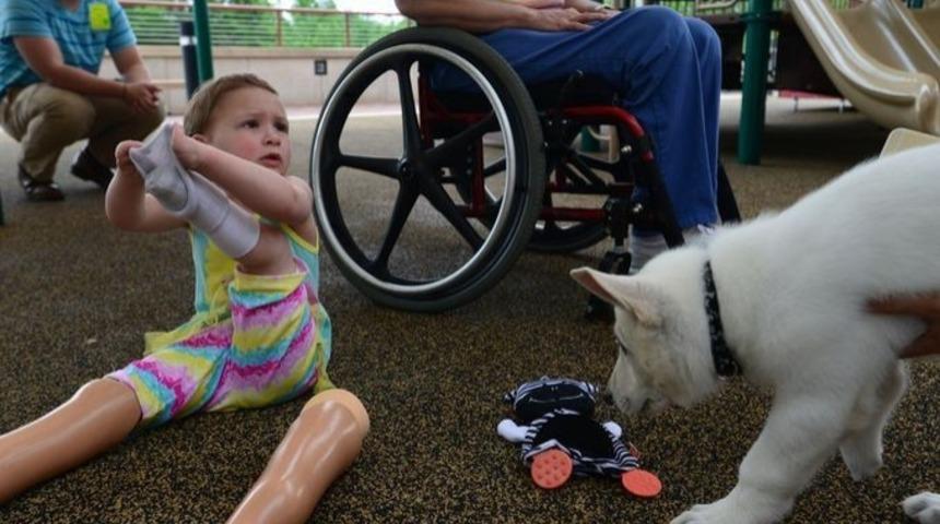 Bir Patisi Olmayan K&ouml;pek Ve Bir Bacağı Olmayan Kızın Arkadaşlığı