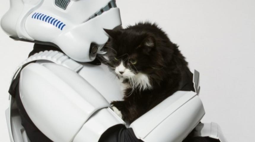 Star Wars Karakterleri ve Barınak Hayvanları Birleşirse...