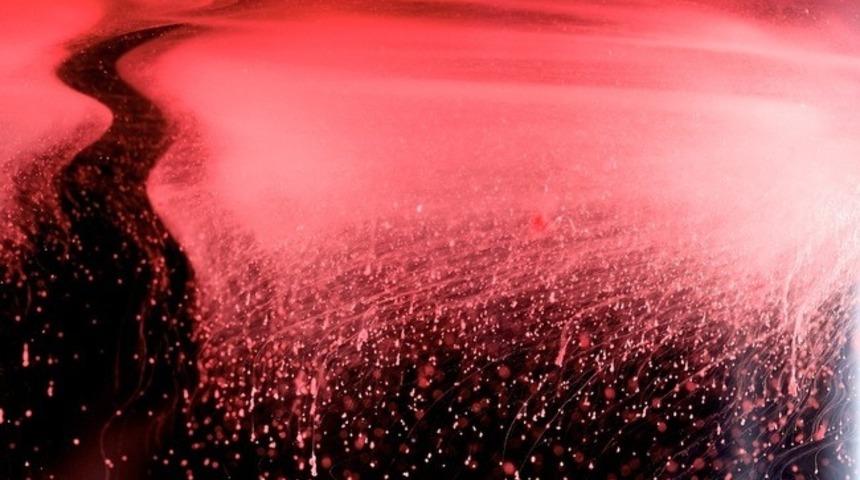 Menstr&uuml;al Kandan Yapılan Muhteşem Sanat Eserleri