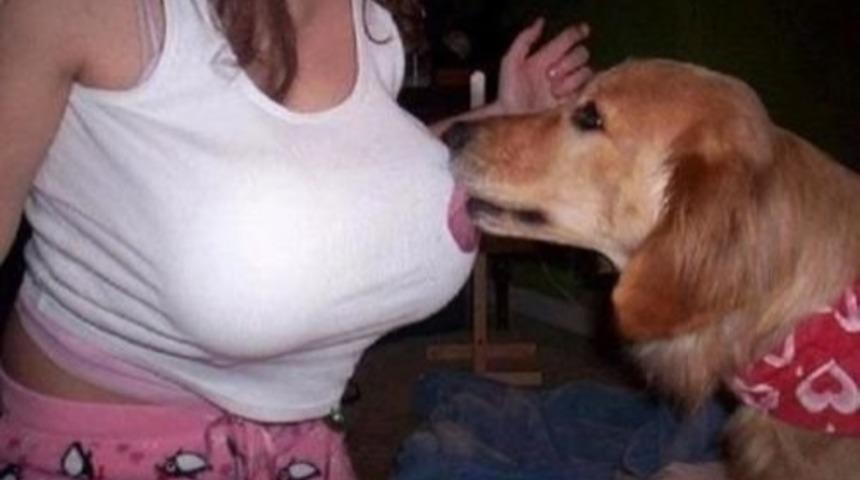 Yerinde Olmak İsteyeceğiniz G&ouml;ğ&uuml;s Manyağı 10 Şanslı Hayvan