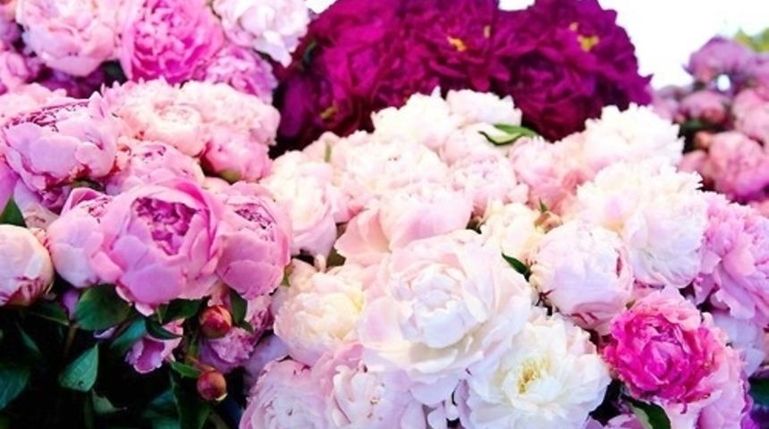 Nasıl Bir &Ccedil;i&ccedil;eksin?