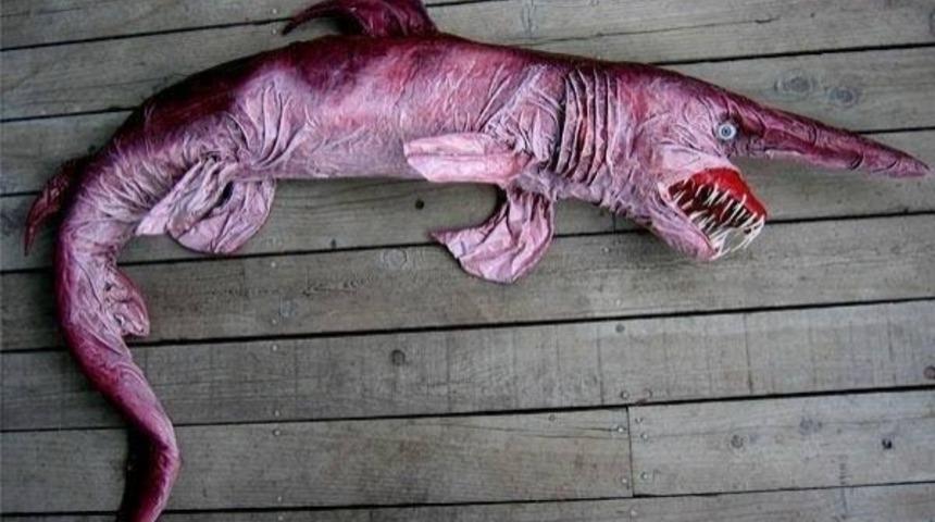 Var Olduğuna İnanamayacağınız 10 Garip Hayvan