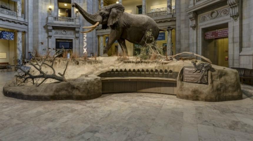 D&uuml;nyanın En &Uuml;nl&uuml; M&uuml;zelerini Nasıl Bedavaya Gezersiniz?