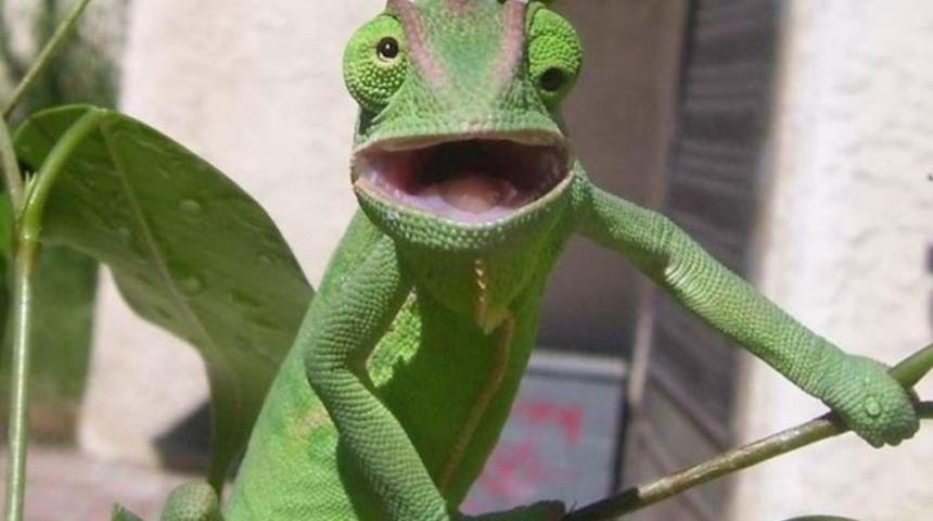 Sevgilisini Başkasıyla Basan Kadınların 8 Tepkisi (TEMSİLİ) 