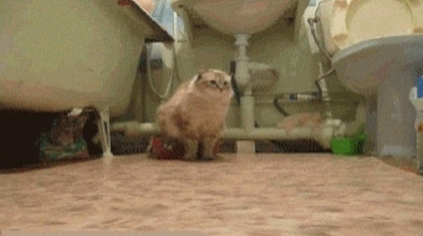 "NEDEN BEN?" Diye İsyan Ettiren 13 Durum