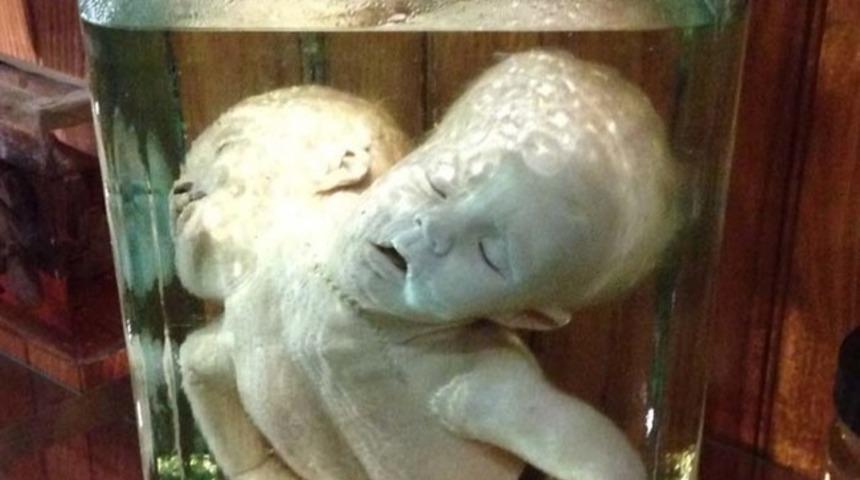 Bu M&uuml;zenin İ&ccedil;inde Ter&ouml;r V&uuml;cut Bulmuş